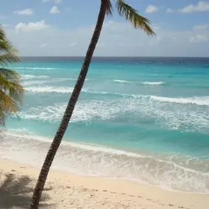 Apartment White Sands Beach Villas - D, Christ Church